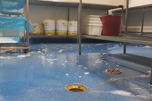 Hygiene Flooring 1 Hygiene Flooring 1
